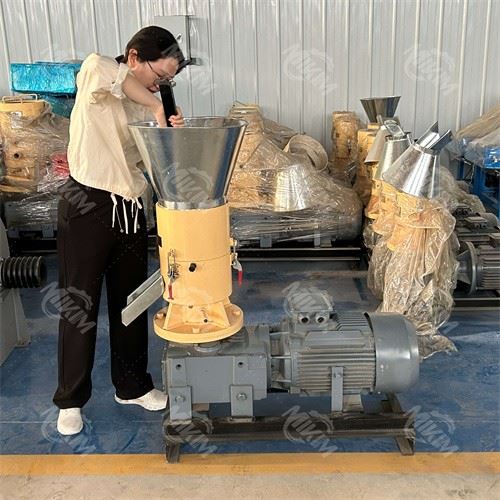 Rice Husk Fuel Pellet Machine